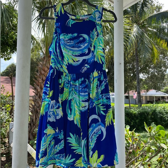 Lilly Pulitzer Skater Dress size 6 - Picture 6 of 8